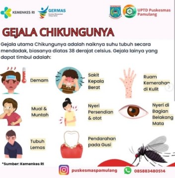 Ilustrasi gejala Chikungunya. [Instagram]